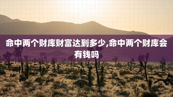 命中两个财库财富达到多少,命中两个财库会有钱吗