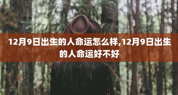 12月9日出生的人命运怎么样,12月9日出生的人命运好不好