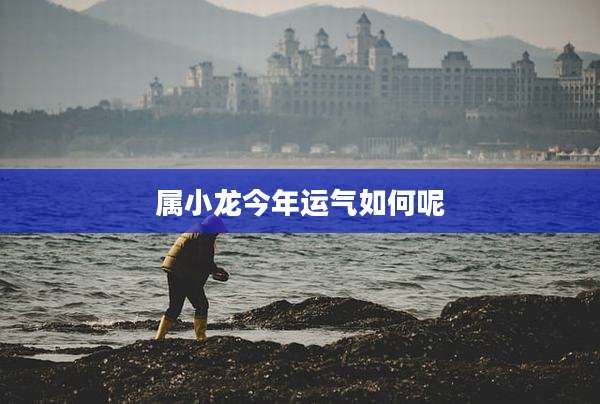 属小龙今年运气如何呢