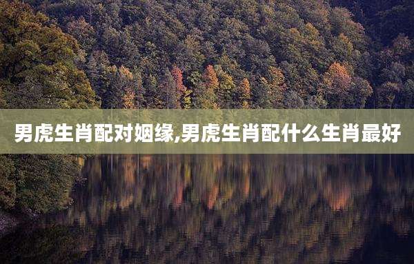 男虎生肖配对姻缘,男虎生肖配什么生肖最好