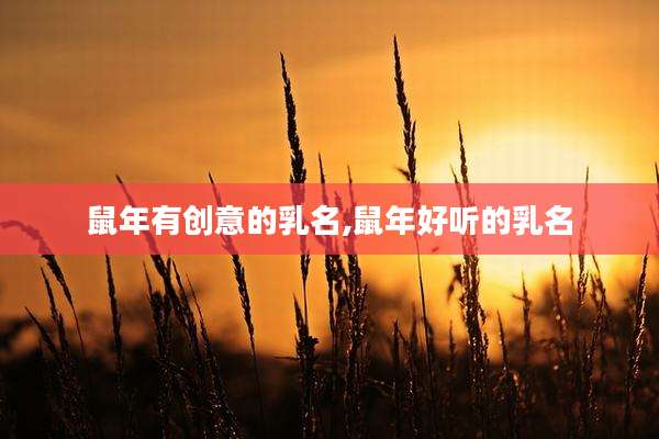 鼠年有创意的乳名,鼠年好听的乳名