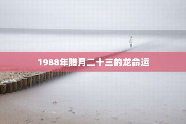 1988年腊月二十三的龙命运
