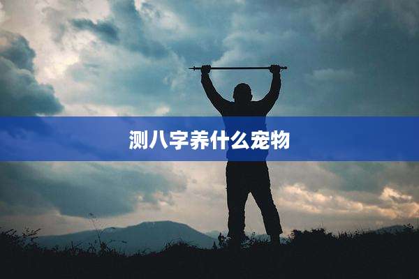 测八字养什么宠物