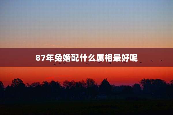 87年兔婚配什么属相最好呢