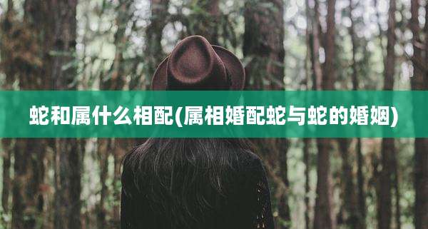 蛇和属什么相配(属相婚配蛇与蛇的婚姻)