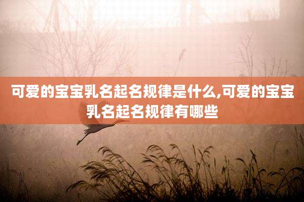 可爱的宝宝乳名起名规律是什么,可爱的宝宝乳名起名规律有哪些