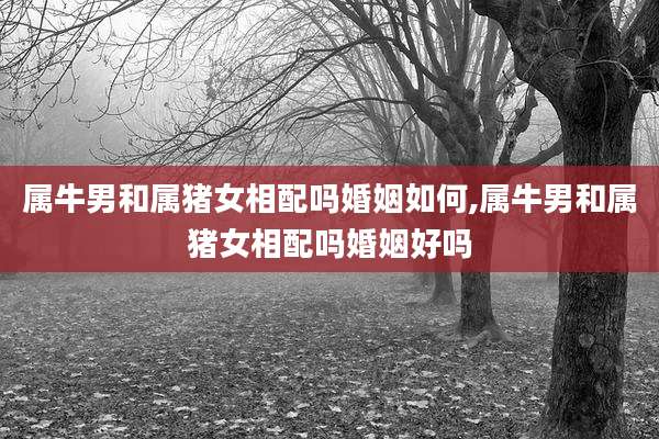 属牛男和属猪女相配吗婚姻如何,属牛男和属猪女相配吗婚姻好吗