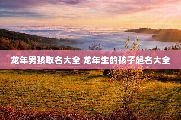 龙年男孩取名大全 龙年生的孩子起名大全