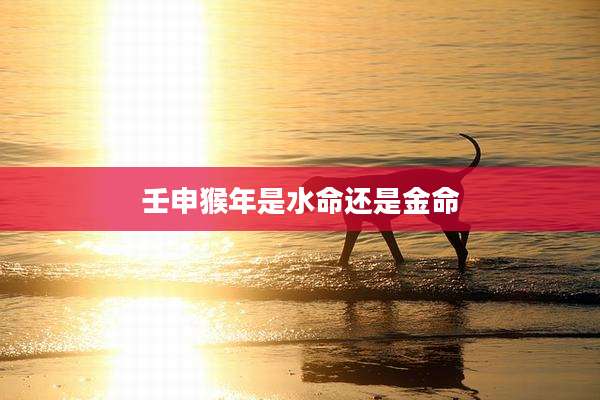 壬申猴年是水命还是金命