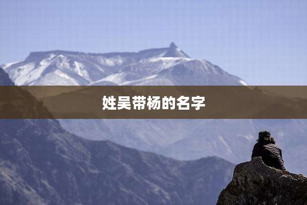 姓吴带杨的名字