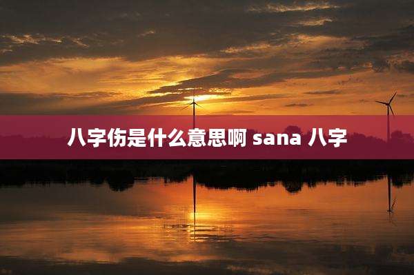 八字伤是什么意思啊 sana 八字