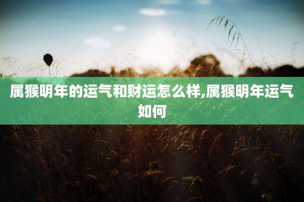 属猴明年的运气和财运怎么样,属猴明年运气如何