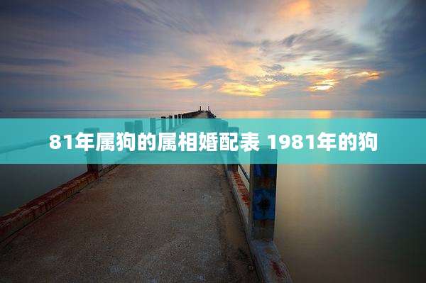 81年属狗的属相婚配表 1981年的狗