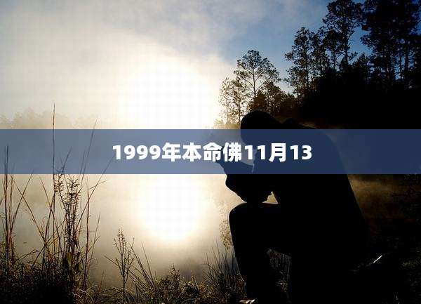 1999年本命佛11月13