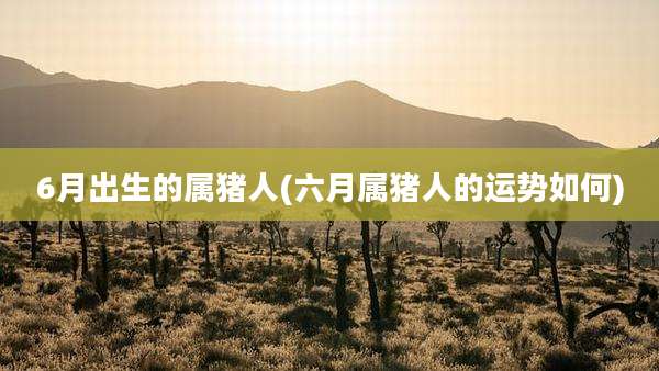 6月出生的属猪人(六月属猪人的运势如何)