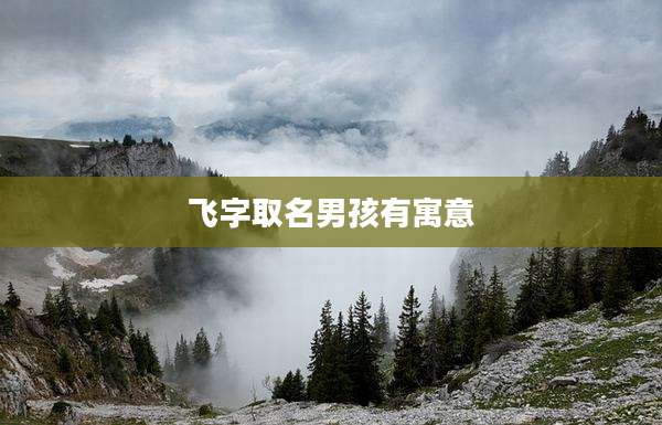 飞字取名男孩有寓意