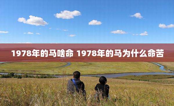 1978年的马啥命 1978年的马为什么命苦