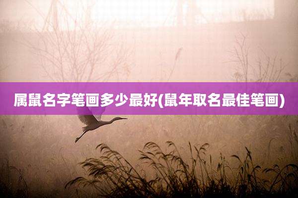 属鼠名字笔画多少最好(鼠年取名最佳笔画)