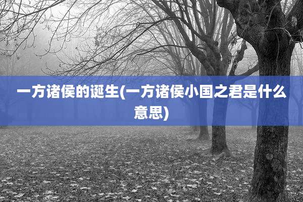 一方诸侯的诞生(一方诸侯小国之君是什么意思)