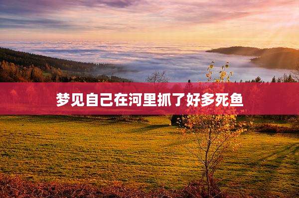 梦见自己在河里抓了好多死鱼