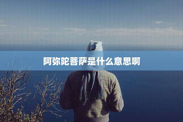 阿弥陀菩萨是什么意思啊