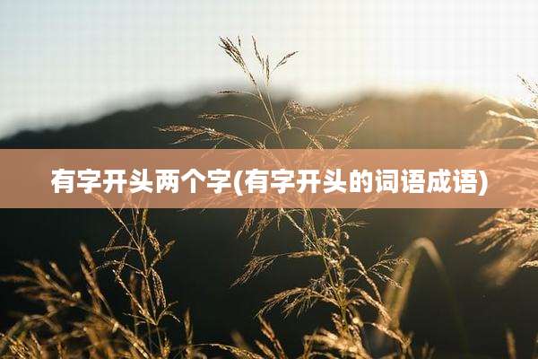 有字开头两个字(有字开头的词语成语)