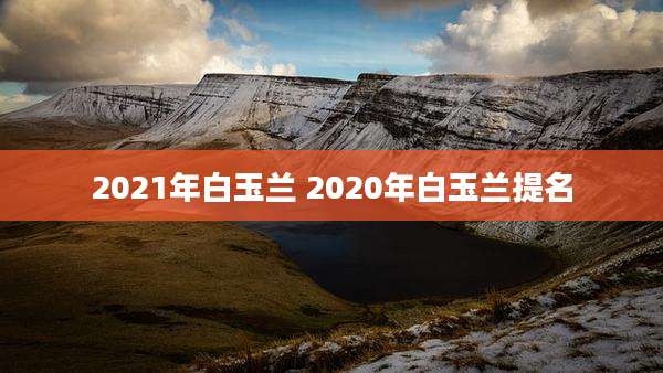 2021年白玉兰 2020年白玉兰提名
