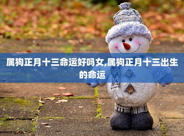 属狗正月十三命运好吗女,属狗正月十三出生的命运