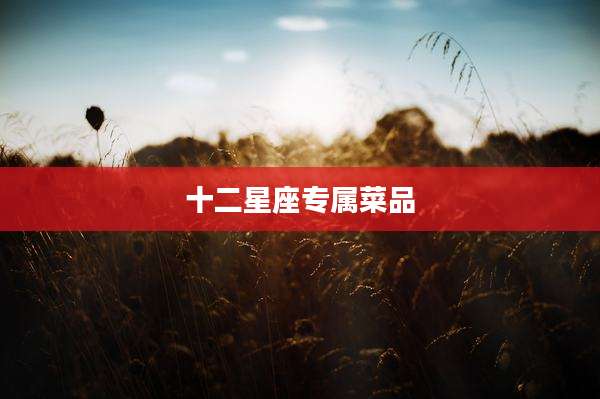 十二星座专属菜品