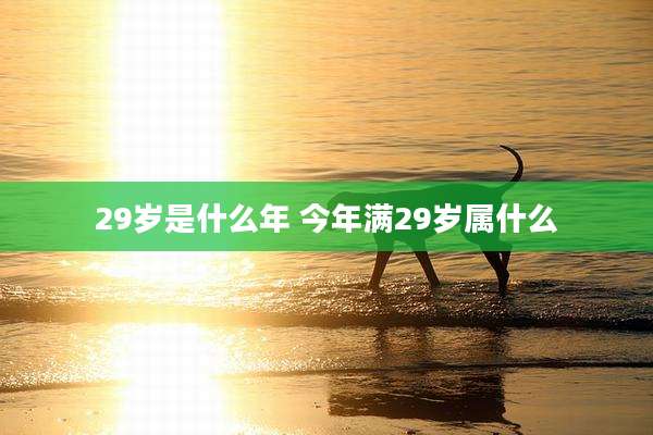 29岁是什么年 今年满29岁属什么