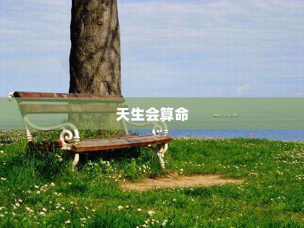 天生会算命
