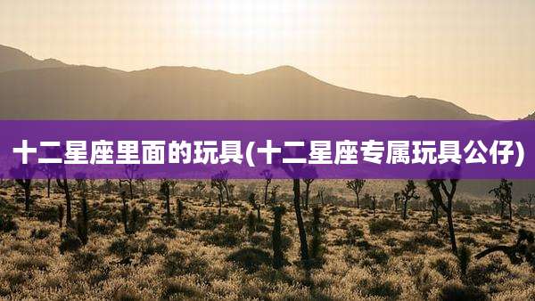 十二星座里面的玩具(十二星座专属玩具公仔)