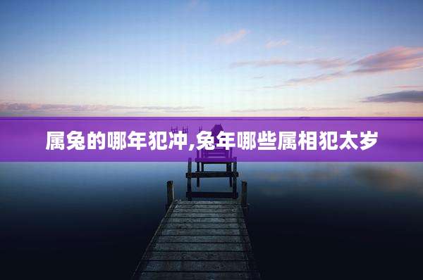 属兔的哪年犯冲,兔年哪些属相犯太岁