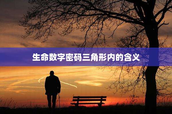生命数字密码三角形内的含义