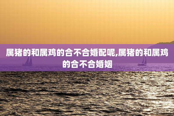 属猪的和属鸡的合不合婚配呢,属猪的和属鸡的合不合婚姻
