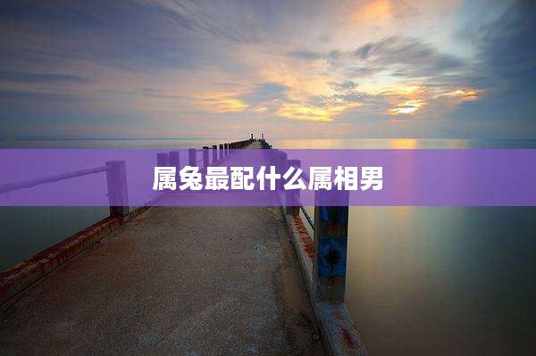 属兔最配什么属相男