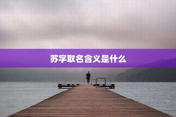 苏字取名含义是什么