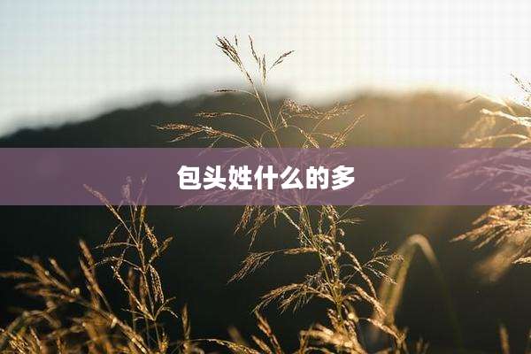包头姓什么的多