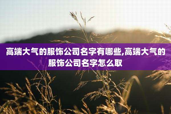 高端大气的服饰公司名字有哪些,高端大气的服饰公司名字怎么取