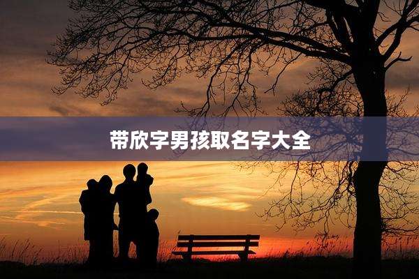 带欣字男孩取名字大全