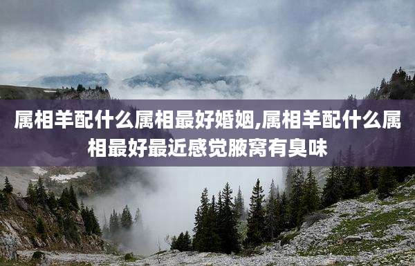 属相羊配什么属相最好婚姻,属相羊配什么属相最好最近感觉腋窝有臭味