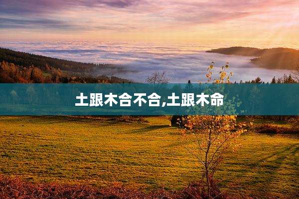 土跟木合不合,土跟木命