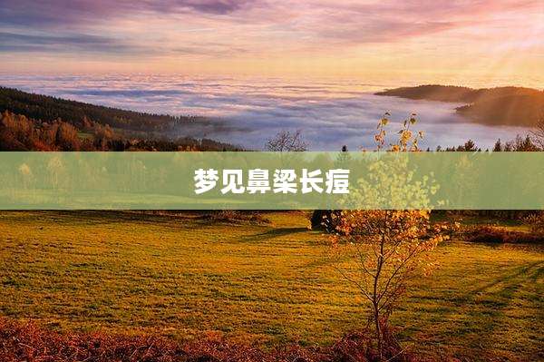 梦见鼻梁长痘