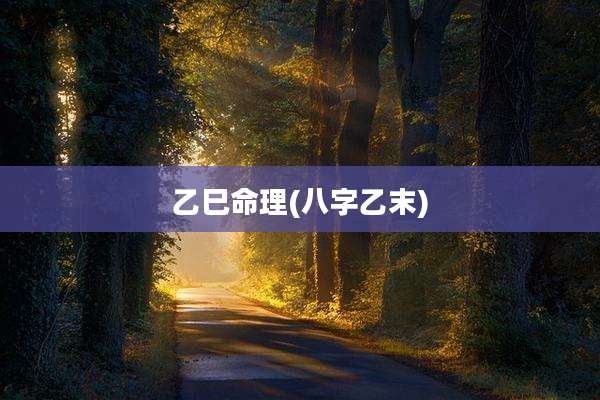 乙巳命理(八字乙末)