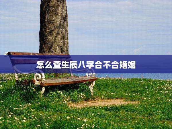 怎么查生辰八字合不合婚姻