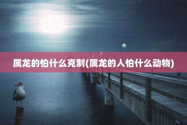 属龙的怕什么克制(属龙的人怕什么动物)