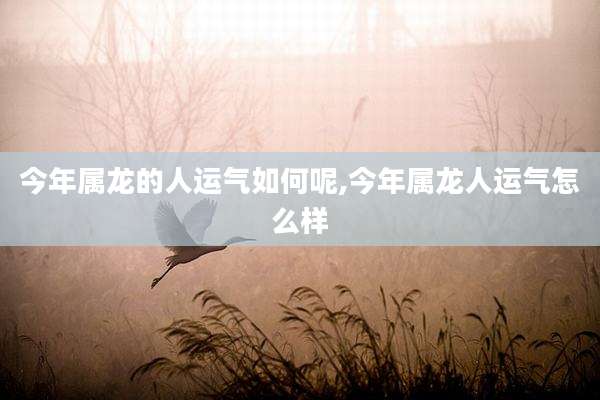 今年属龙的人运气如何呢,今年属龙人运气怎么样
