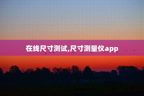 在线尺寸测试,尺寸测量仪app