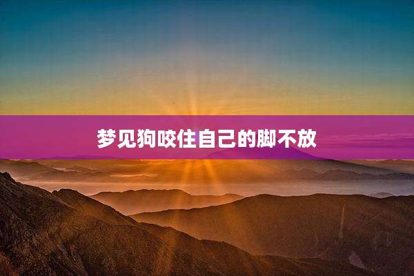 梦见狗咬住自己的脚不放