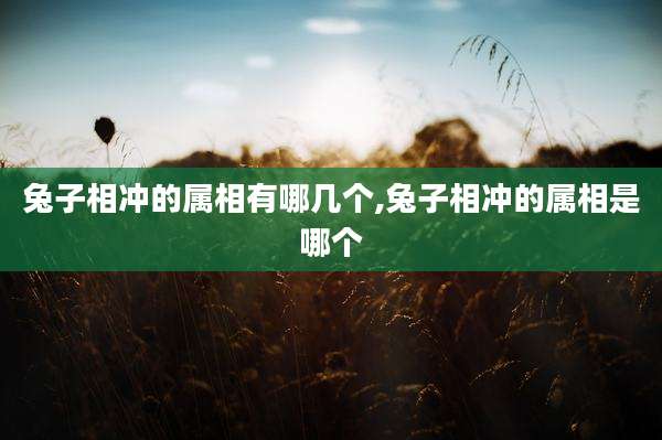 兔子相冲的属相有哪几个,兔子相冲的属相是哪个